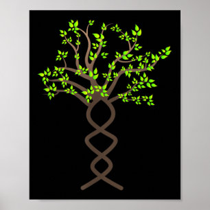 Póster Árboles de árbol Dna Protección de la naturaleza M