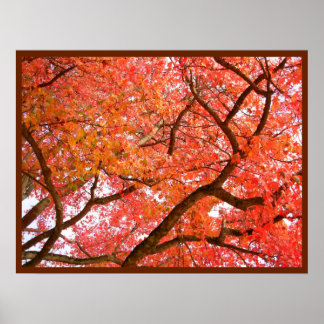 Póster Árboles de arce de otoño Poster de paisajes de imp