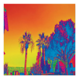 Póster Árboles de Chipre