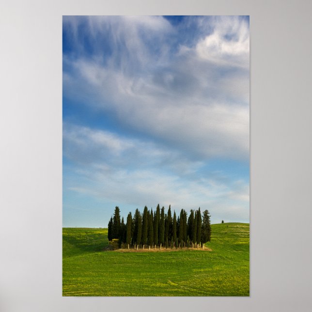 Póster Árboles de cipreses en poster vertical toscano (Frente)