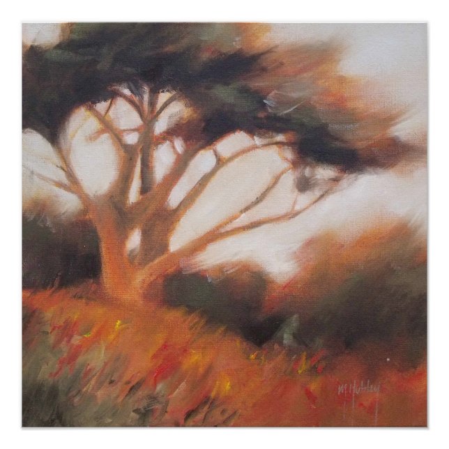 Póster Árboles de Cypress de California en Monterey (Anverso)