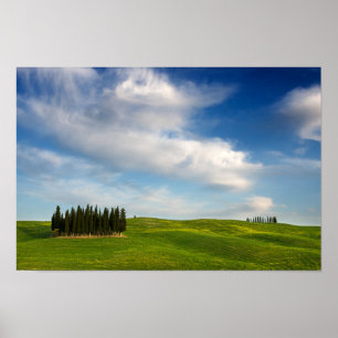 Póster Árboles de Cypress en el poster de Toscana