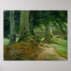 Póster Árboles de haya en Frederiksdal cerca de