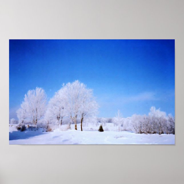 Póster Árboles de invierno (Frente)