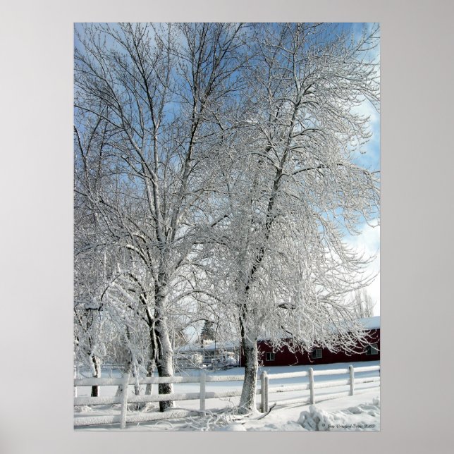 Póster Árboles de invierno (Frente)
