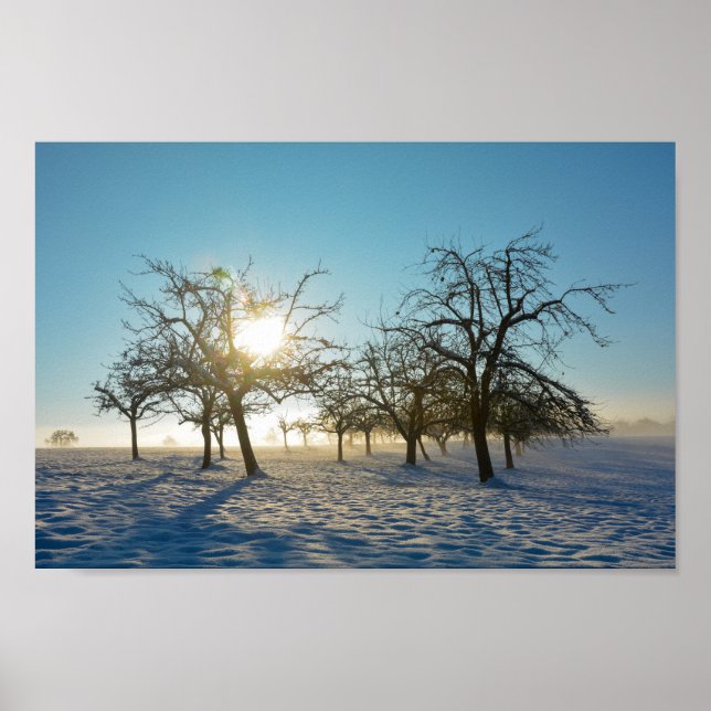 Póster Árboles de invierno al amanecer (Frente)