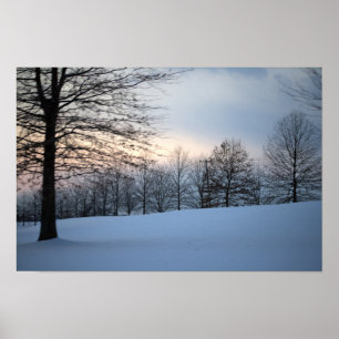 Póster Árboles de invierno escénicos