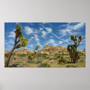Póster Árboles de Joshua y paisaje desértico de cielo azu