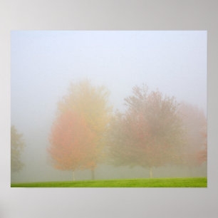 Póster Árboles de la caída cubiertos en niebla