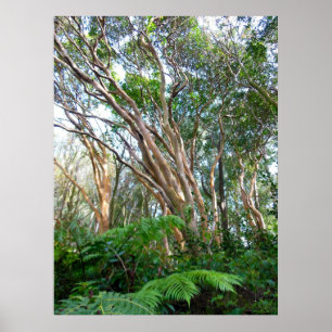 Póster Árboles de la guayaba de fresa