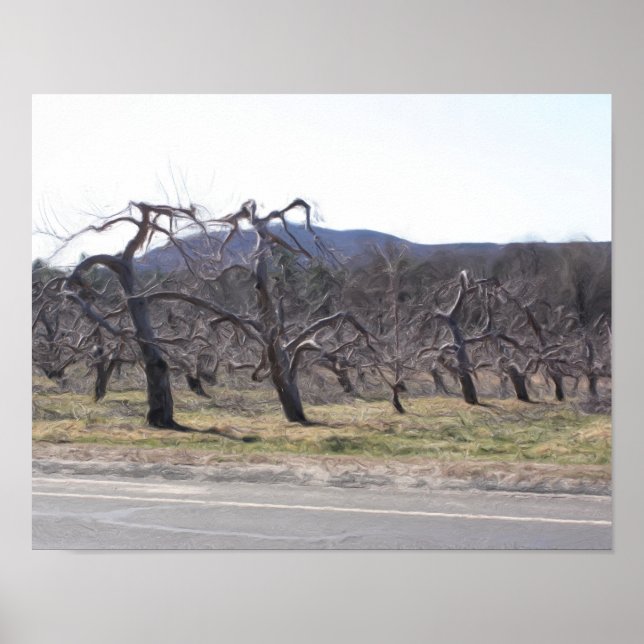 Póster Árboles de manzana en pintura fotográfica de aceit (Frente)