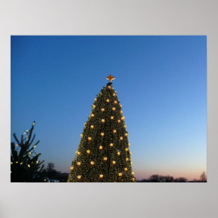 Póster Árboles de Navidad grandes y pequeños que celebro 