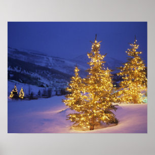 Póster Árboles de navidad, Park City, montañas de Wastch,
