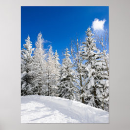 Póster Árboles de nieve bajo un cielo azul claro