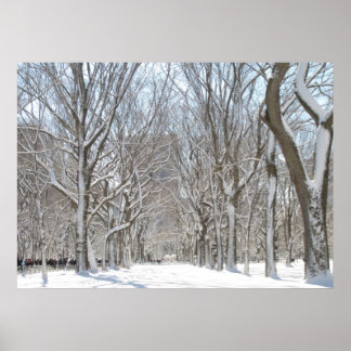 Póster Árboles de nieve en Central Park