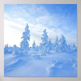 Póster árboles de nieve en Laponia, Finlandia