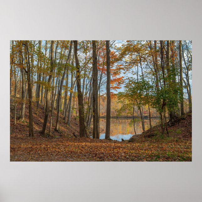 Póster Árboles de Otoño (Frente)