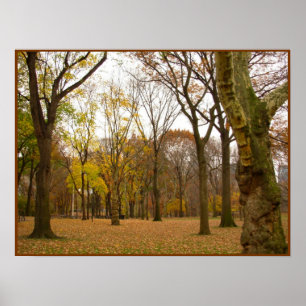 Póster Árboles de otoño imprimen Poster paisajístico de N