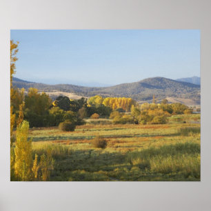 Póster Árboles de otoño, Khancoban, Montañas Nevadas, Nue
