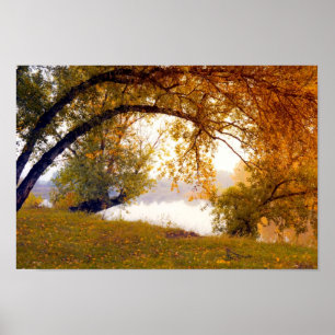 Póster Árboles de otoño Poster del lago Misty