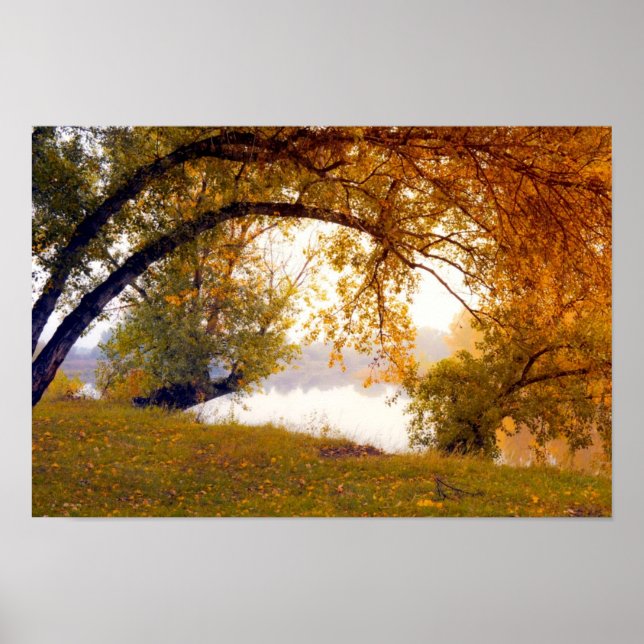 Póster Árboles de otoño Poster del lago Misty (Frente)