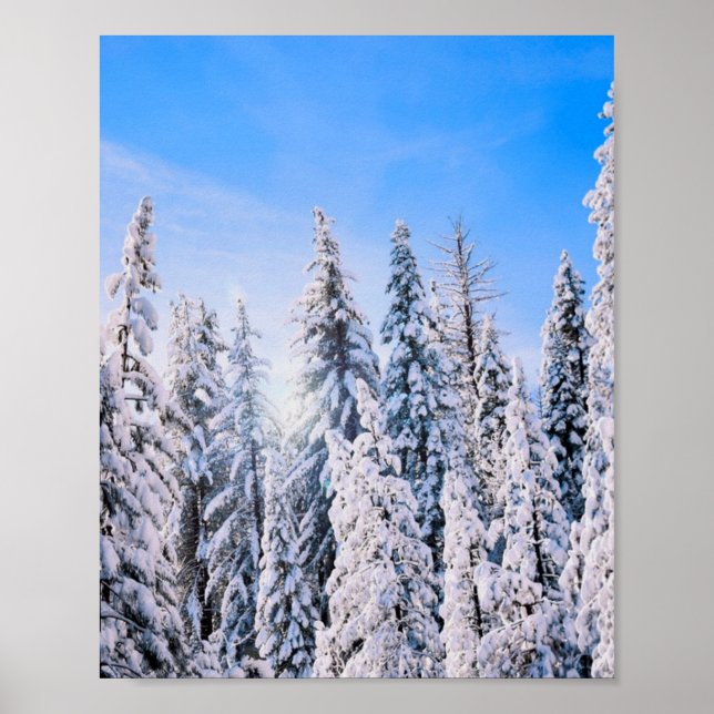 Póster Árboles de pinos de invierno en nieve (Frente)