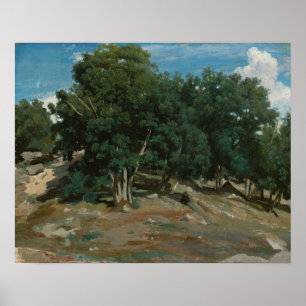 Póster Árboles de roble Fontainebleau