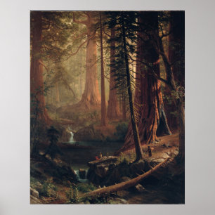 Póster Árboles de secuoya gigantes de California Albert B