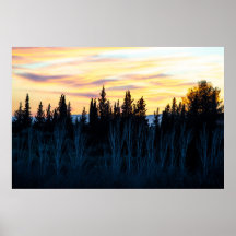 Árboles de silueta al atardecer