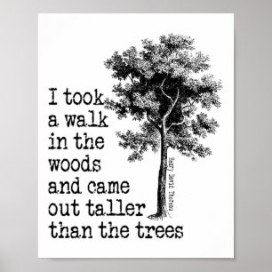 Póster Árboles de Thoreau Cita Naturaleza - Caminar en lo