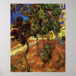 Póster Árboles de Van Gogh en el Jardín, Hospital de Sain