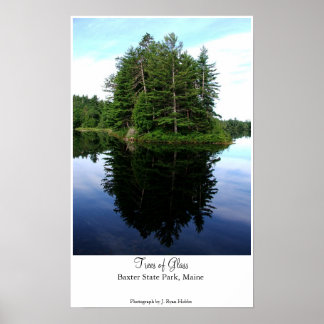 Póster Árboles de vidrio