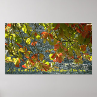 Póster Árboles de vidrio manchado - Poster con cotización