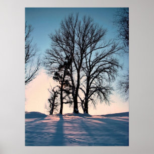 Póster Árboles del invierno en el fondo crepuscular del