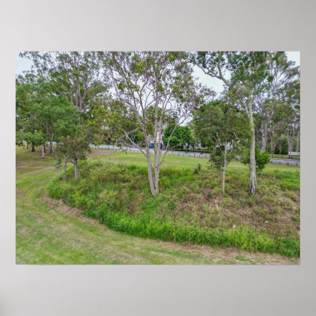 Póster Árboles del parque junto al paisaje verde de la ca (Frente)