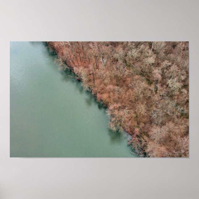 Póster Árboles del río Schuylkill Sanatoga (Frente)