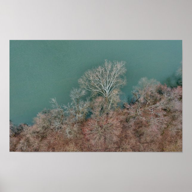 Póster Árboles del río Schuylkill Sanatoga (Frente)