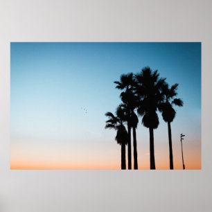 Póster Árboles durante la hora dorada