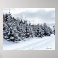 Árboles ecológicos y carreteras nevadas