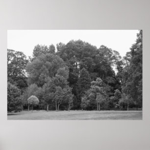 Póster Árboles en Bute Park, Cardiff - BW