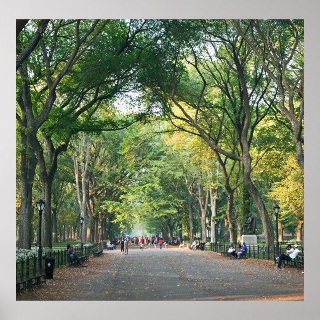 Póster Árboles en el centro comercial (Frente)