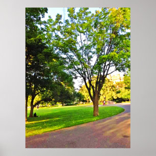 Póster Árboles En El Parque De Ottawa. ¡Hazte con una en 