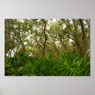 Póster Árboles en el Refugio Nacional de Vida Silvestre d