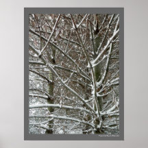 Árboles en foto de invierno de nieve