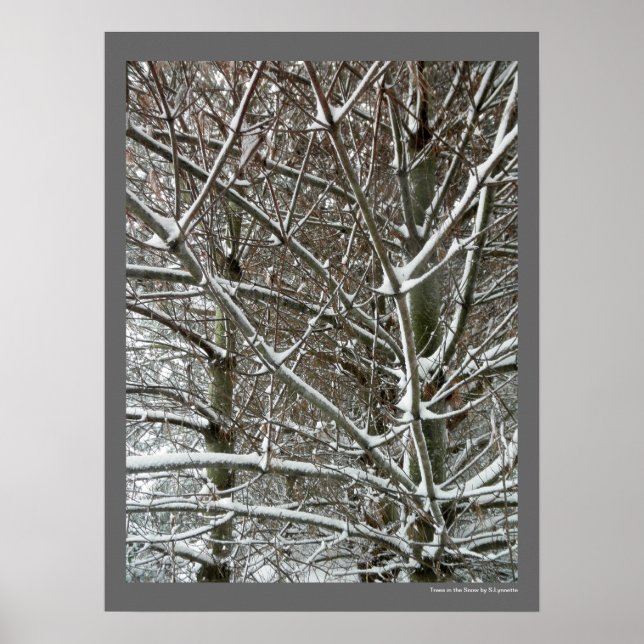Póster Árboles en foto de invierno de nieve (Frente)