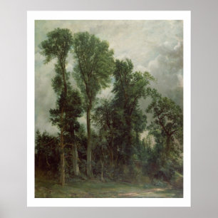 Póster Árboles en Hampstead