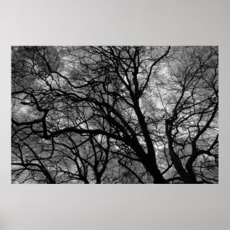 Póster Árboles en invierno