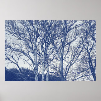 Póster Árboles en invierno: efecto cianotipio