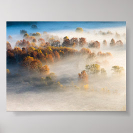 Póster Árboles en la niebla de la mañana