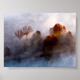 Póster Árboles en la niebla de la mañana